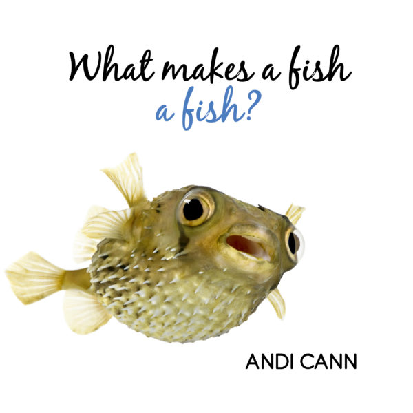 What Makes a Fish a Fish