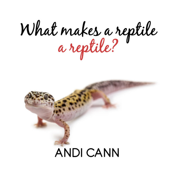 What Makes a Reptile a Reptile
